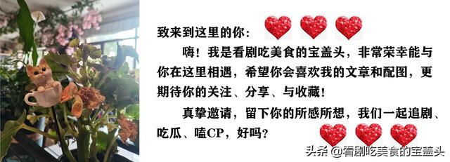 贺先生的恋恋不忘全47集剧情（电视剧贺先生的恋恋不忘第一个谜底已揭晓）(1)