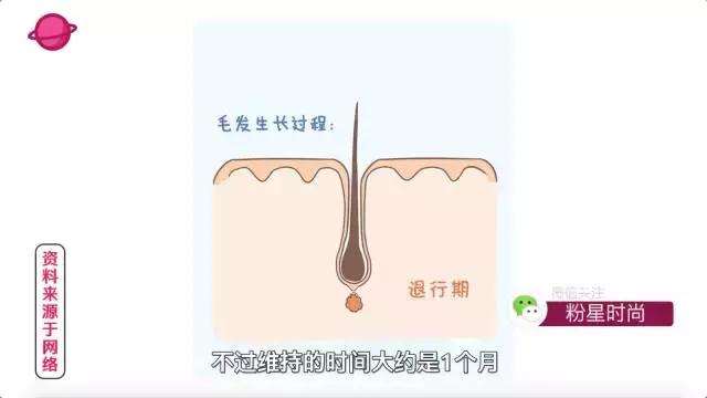 脱毛产品排行榜（一万人选出来这是最实用）(31)