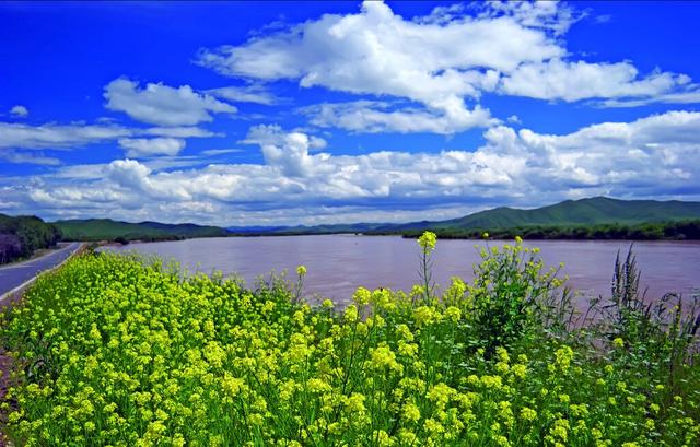 华夏民族母亲河黄河（中华民族的母亲河）(4)
