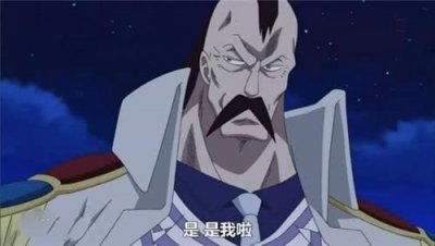 ​海贼王路飞海贼团标志图案（盘点海贼王中的十二生肖）
