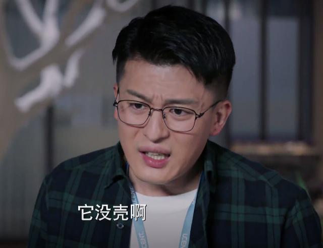 殷桃最近热播的电视剧有哪些（CCTV8又甩出王炸）(10)