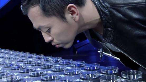 网络图片(侵删)