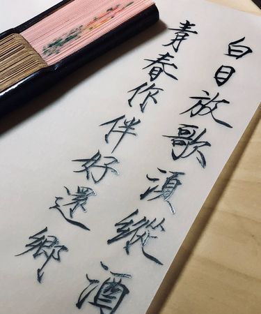 白日放歌须纵酒,青春作伴好还乡