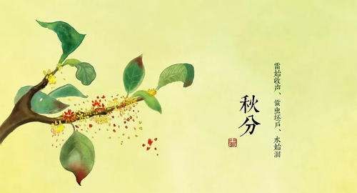秋分有什么美好寓意,秋分节气的意义图4