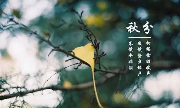 秋分节气的意义是什么