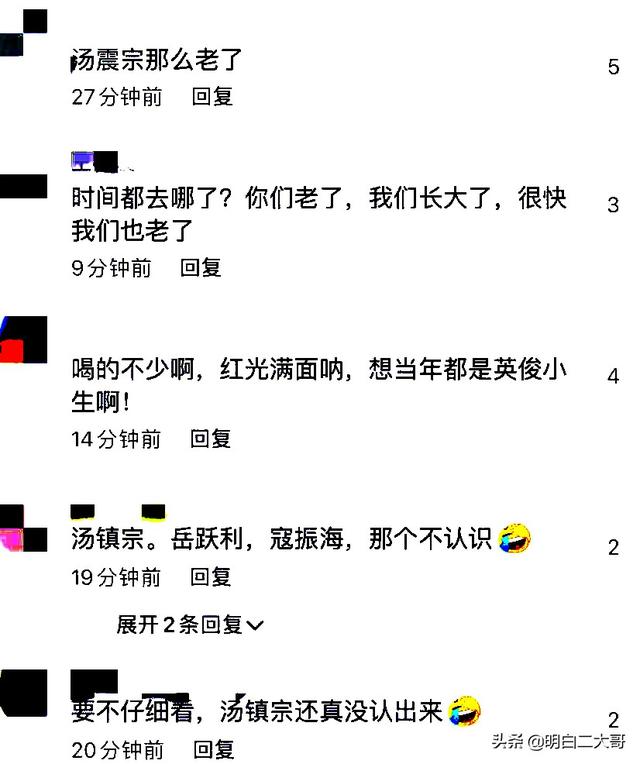 琼瑶寇振海（琼瑶剧四大男神七夕拜把子）(4)