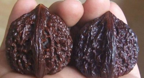 文玩桃核发黑怎么处理呢?