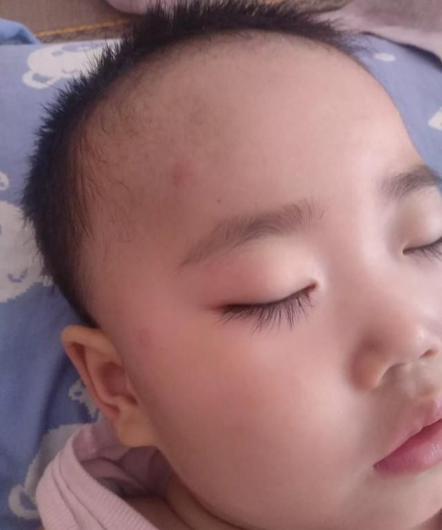 夏天的夜晚有什么动物，夏天的植物有什么变化？图2