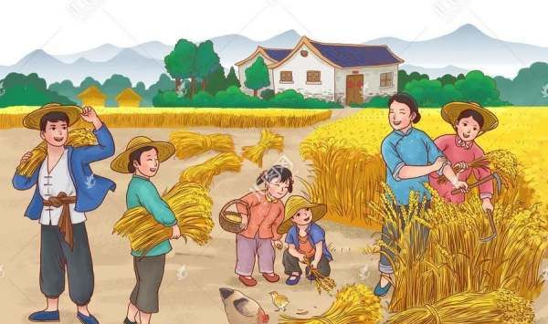 夏至是什么时候,夏至是什么时候图1