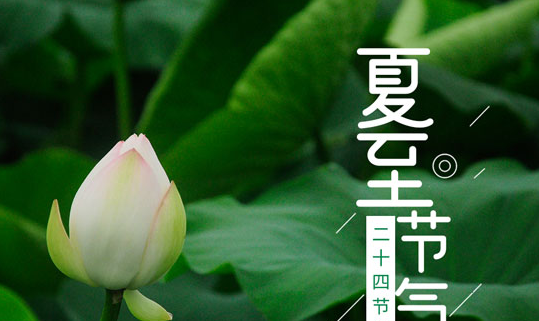 夏至是什么时候,夏至是什么时候图5