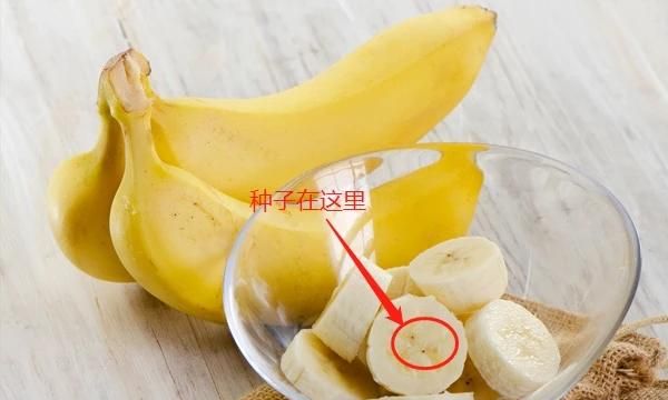 香蕉有没有种子，香蕉为什么没有籽，是怎样种出来的？图4