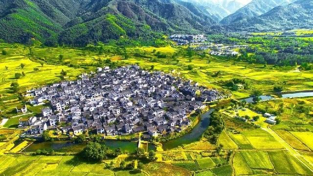 照母山梅花在哪个位置，照母山森林公园哪里好玩？图9