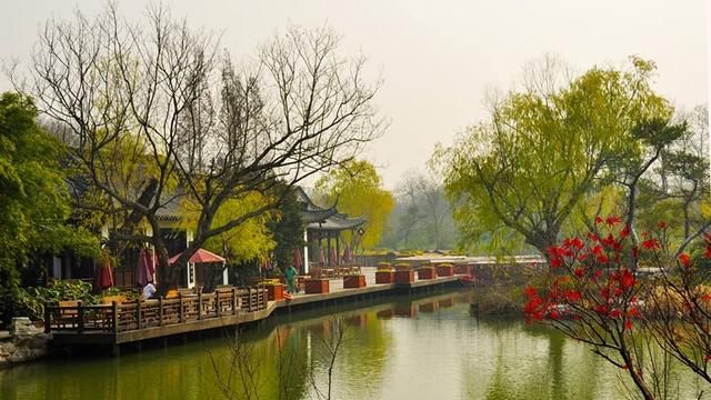 照母山梅花在哪个位置，照母山森林公园哪里好玩？图7