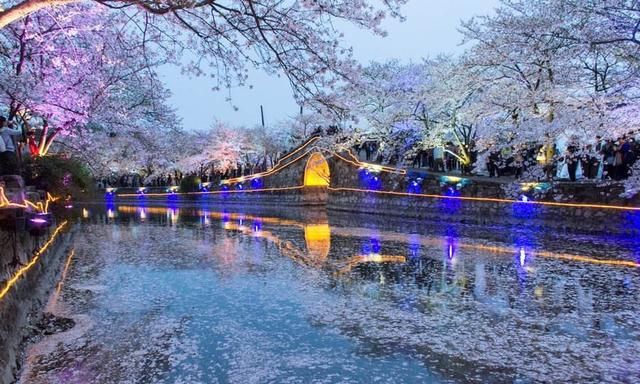 照母山梅花在哪个位置，照母山森林公园哪里好玩？图6