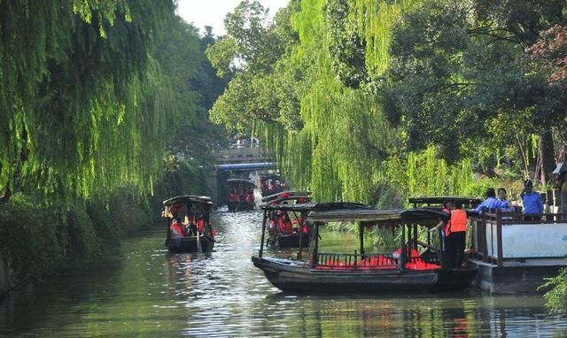 照母山梅花在哪个位置，照母山森林公园哪里好玩？图5