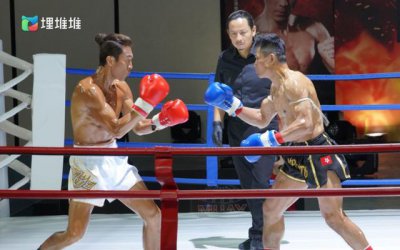 ​郑嘉颖电视剧作品全集（郑嘉颖主演拳王后）