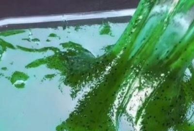 不用胶水怎么做起泡胶,起泡胶怎么做家用材料不用胶水图10