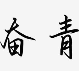 词语“愤青”是什么意思