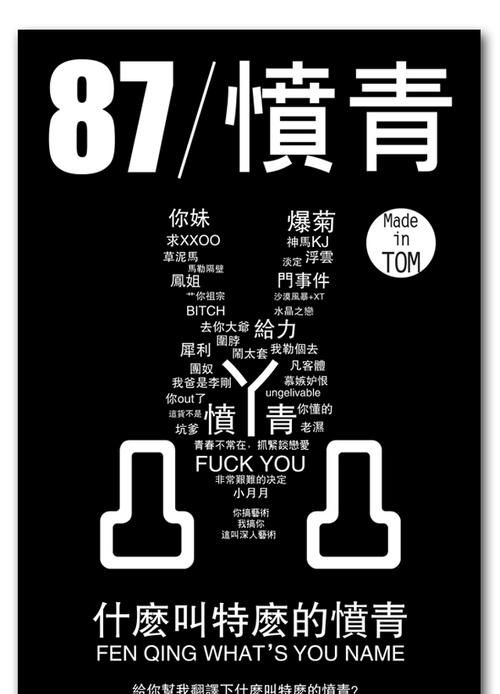 什么叫愤青