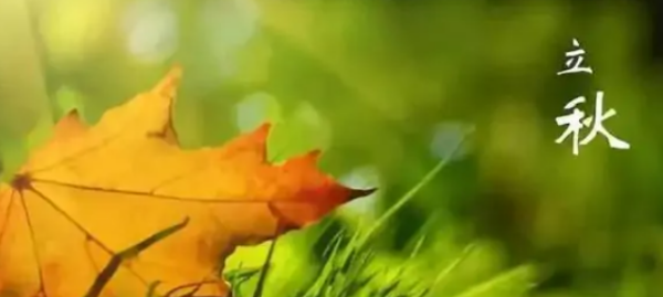 立秋注意什么,立秋时节养生方面需要注意什么图2