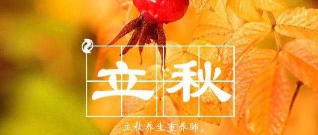 立秋了就不要再想夏天的事情了冬天的衣服很贵