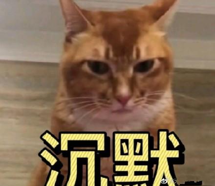 盘点校园里的神仙级爱情（77万人点赞的爱情）(65)