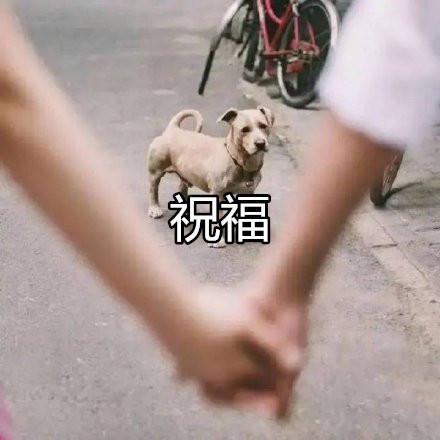 盘点校园里的神仙级爱情（77万人点赞的爱情）(43)