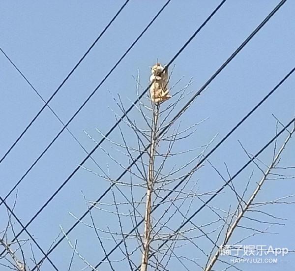 盘点校园里的神仙级爱情（77万人点赞的爱情）(14)