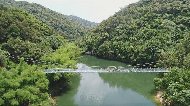 河源必去景点（河源十大景点）(4)