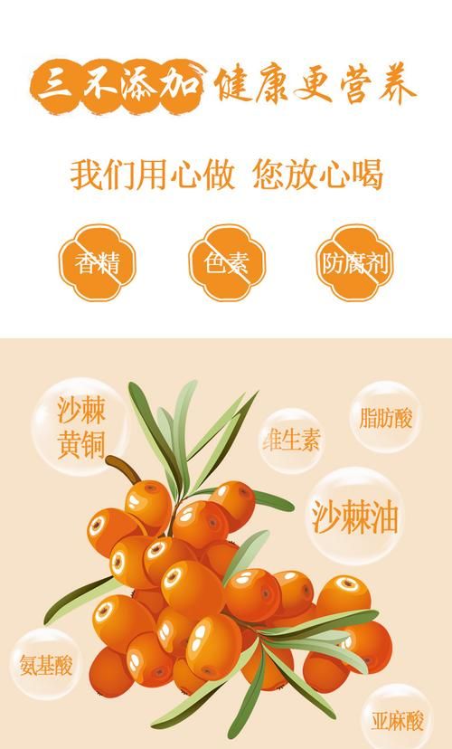沙棘果长什么样的