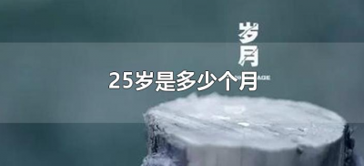 ​25岁是多少个月（25岁是有多少个月）