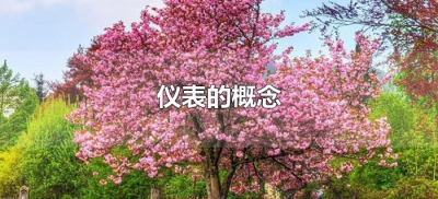 ​仪表的概念是什么（仪表的概念及意义）