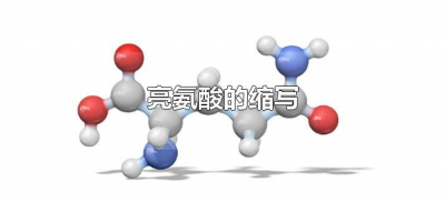 ​亮氨酸的缩写（亮氨酸英文字母简写是什么）
