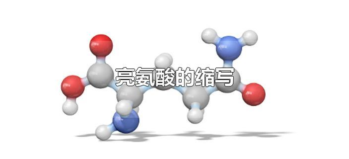 亮氨酸的缩写