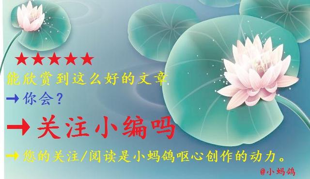 特工皇妃楚乔传34（特工皇妃楚乔传2之北朔之风）(13)