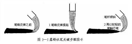 如何练好楷书毛笔字（毛笔楷书入门全解）(13)
