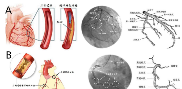 人的生命由哪些因素构成,人的生命由哪些因素构成图1