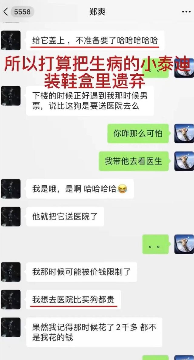 郑爽一部戏4800万倩女幽魂（郑爽1.6亿剧集倩女幽魂更名）(4)