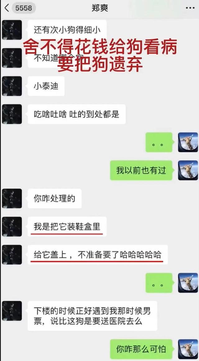 郑爽一部戏4800万倩女幽魂（郑爽1.6亿剧集倩女幽魂更名）(3)