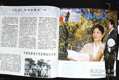 ​刘怀正(刘怀正电视剧)