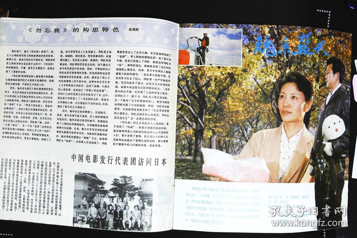 刘怀正(刘怀正电视剧)