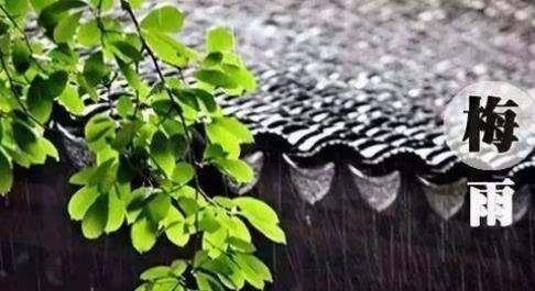 杭州什么时候出梅,杭州的梅雨季节是几月份到几月份图4