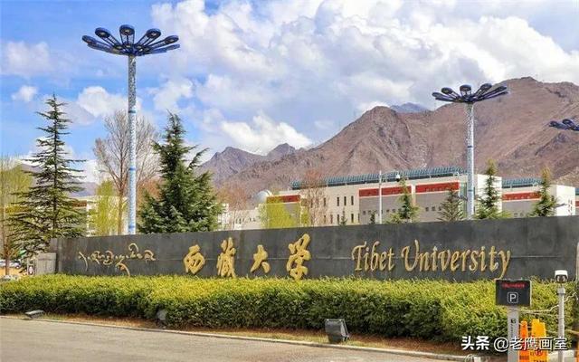 六大美术艺术院校排名（九大美院和艺术名校哪些专业无需校考）(43)