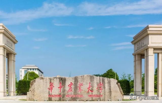 六大美术艺术院校排名（九大美院和艺术名校哪些专业无需校考）(9)