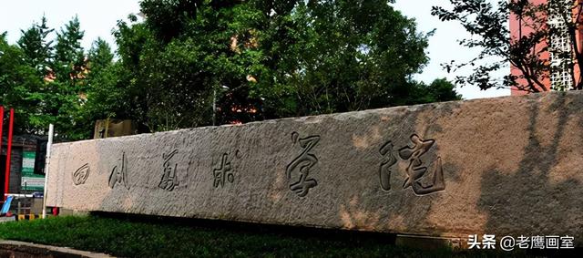 六大美术艺术院校排名（九大美院和艺术名校哪些专业无需校考）(11)