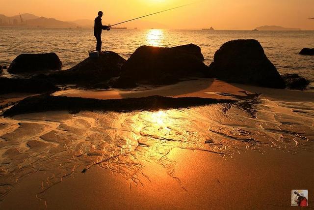 鼓浪屿游玩路线攻略大全（鼓浪屿最特别玩法）(53)