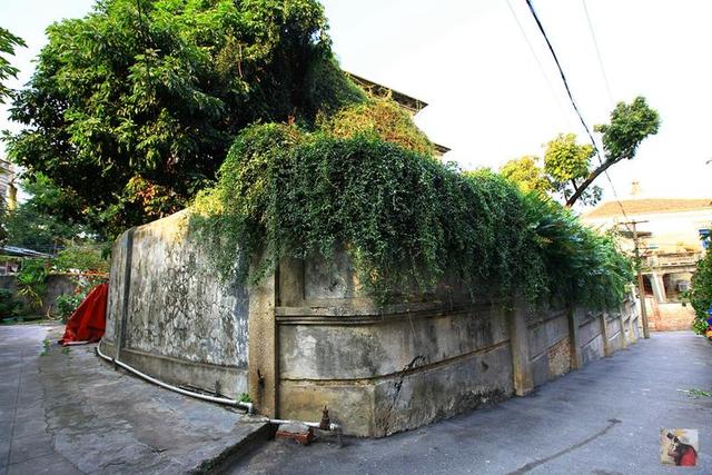 鼓浪屿游玩路线攻略大全（鼓浪屿最特别玩法）(65)