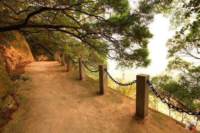 鼓浪屿游玩路线攻略大全（鼓浪屿最特别玩法）(78)