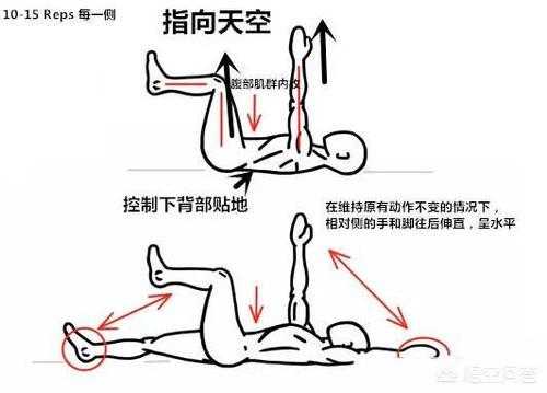 腹肌轮的正确锻炼方法和技巧（腹肌轮简约不简单）(8)