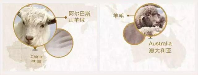 羊毛衫哪款好看（老品牌重出江湖）(11)